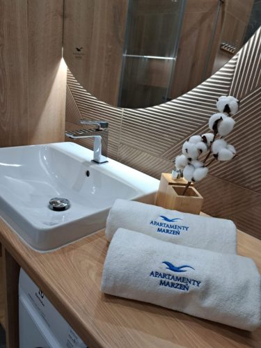 Łazienka w apartamencie